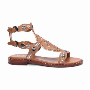 Sandali Donna Ash Paraiba Embellished Flat Marroni | 570326-931