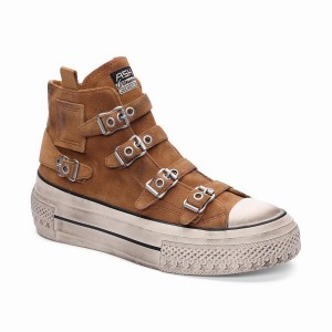 Sneakers Donna Ash Rainbow Suede Buckle Hightop Marroni | 970224-036