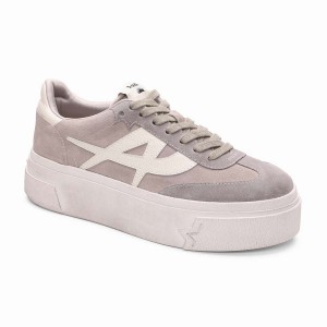 Sneakers Donna Ash Starmoon Suede Platform Grigie | 885718-764